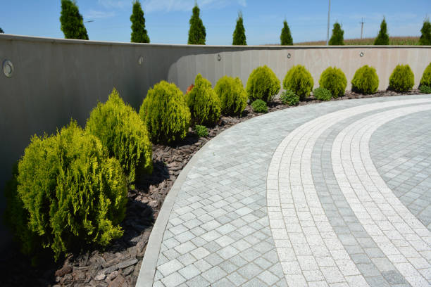 Best Driveway Pavers Near Me  in Panama, OK